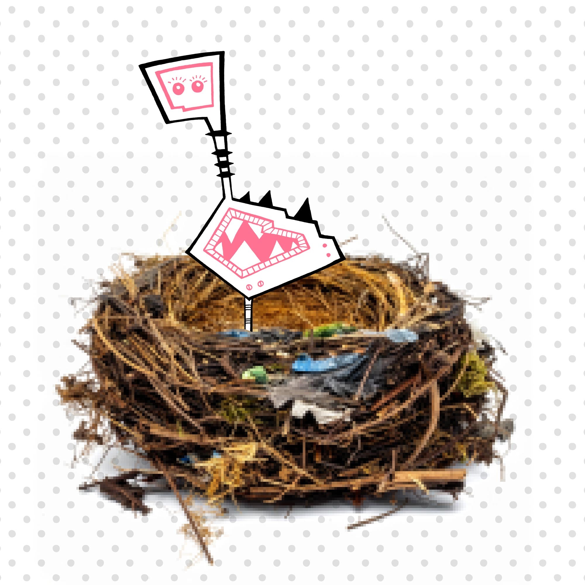 Fauna - Illuwillu - Tiere